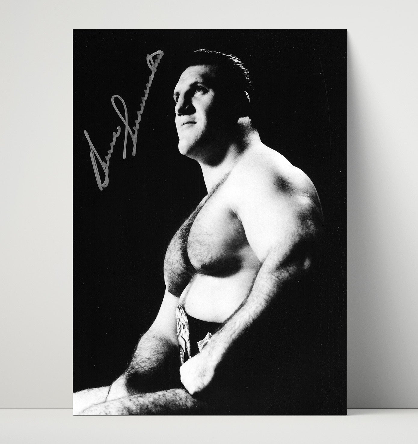 Bruno Sammartino - Champion Classic Portrait Wrestling Wall Art Unframed Print wall art print – wrestling decor