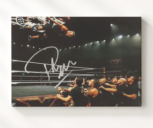 Pat McAfee - Top-Rope Dive NXT Arena - Canvas wrestling wall art