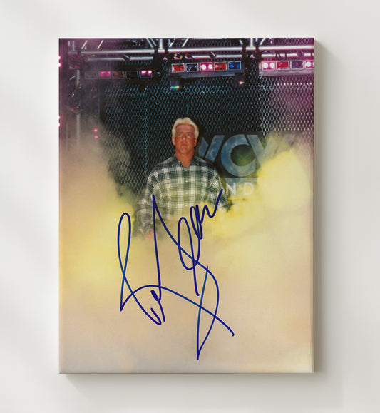 Ric Flair - Classic Nature Boy - Canvas wrestling wall art