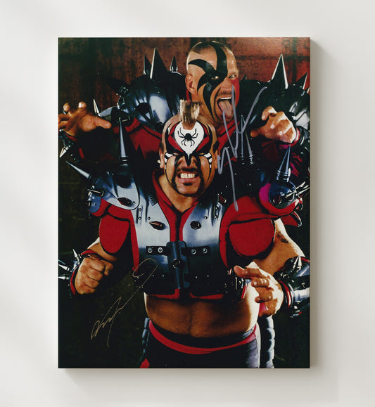 Road Warriors Hawk and Animal - Legion of Doom Tag Team - Canvas wrestling wall art