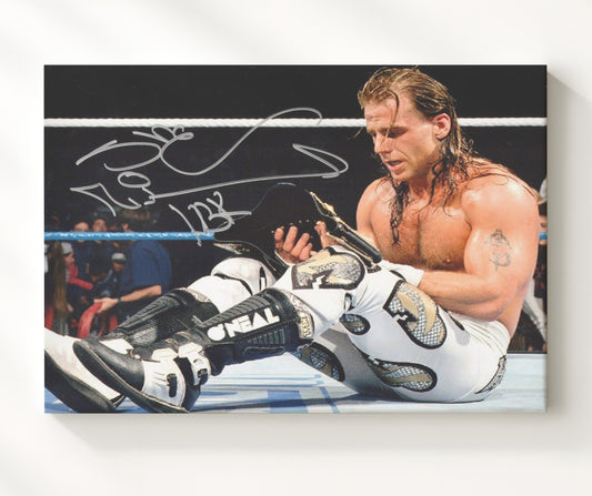 Shawn Michaels - Boyhood Dream Championship Moment - Canvas wrestling wall art