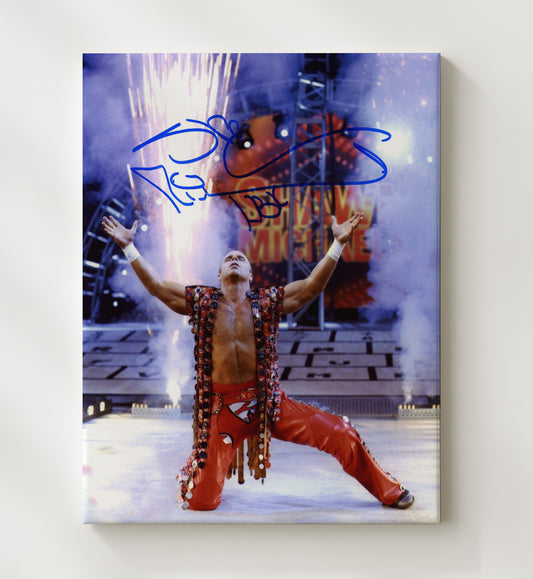 Shawn Michaels - Heartbreak Kid Tribute - Canvas wrestling wall art