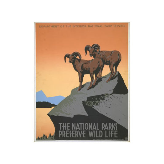 National Parks Poster Print: Preserve Wild Life - vintageframedprints.com