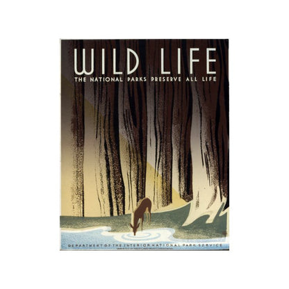 National Parks Poster Print: Wild Life - National Parks Reserve - vintageframedprints.com