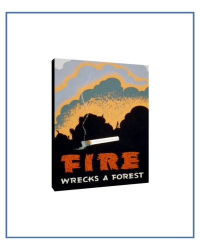 Health & Safety Print: Fire Wrecks a Forest - vintageframedprints.com